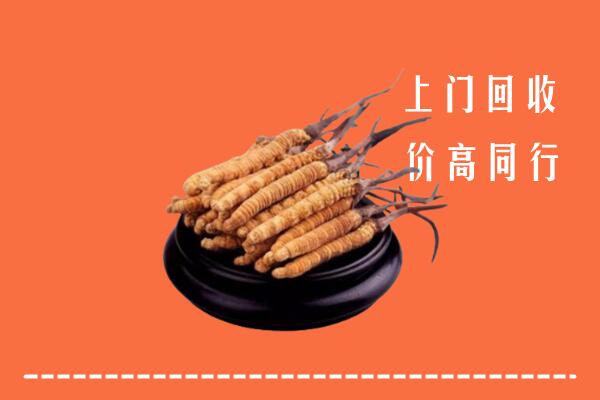 高价求购：繁昌区回收散虫草