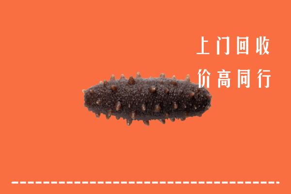 繁昌区回收海参
